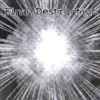 Final Destruction - Sampler