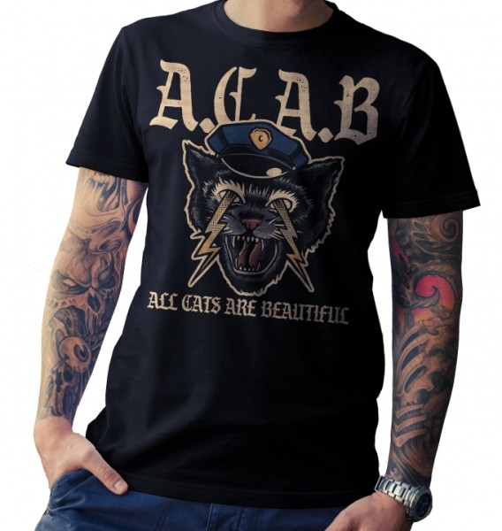 T-Shirt - All cats are beautiful