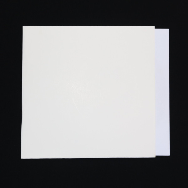 Prolligans - Allzeit bereit - LP TESTPRESSUNG